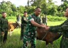 Prajurit TNI di Papua Rela Tak Mudik Idul Adha Demi Keamanan